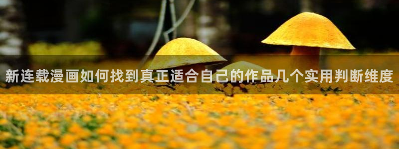 漫蛙漫画在线漫画:新连载漫画如何找到真正适合自己的作品几个实用判断维度